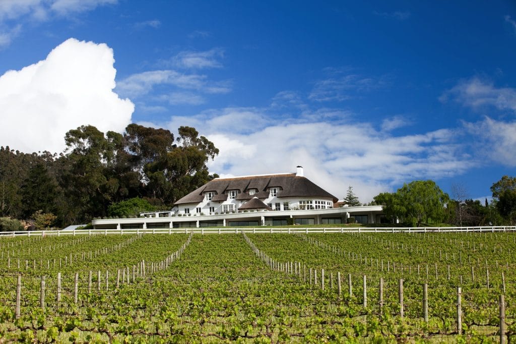Tag 1 - 4: Franschhoek: Weinberge und die Kunst des Genießens