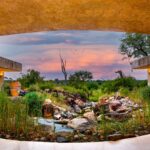 Sabi Sabi Earth Lodge